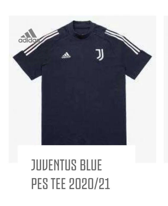 20200828_075124.jpg : 트레이닝저지 중에 PES TEE가 뭐죠?