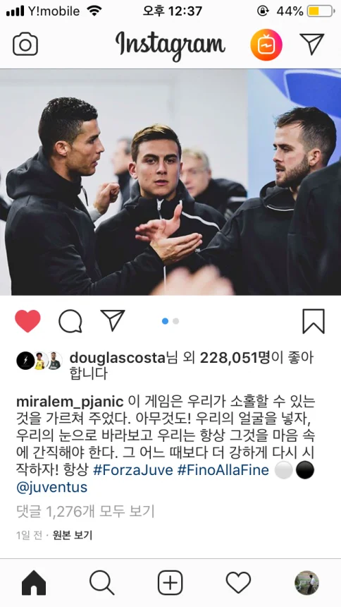 D710EBF7-29DF-4B96-9340-918A6BD15FFB.png : 피아니치 멘탈