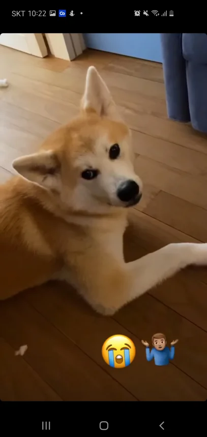 Screenshot_20200912-102227_Instagram.jpg : 디발라 근황...